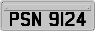PSN9124