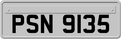 PSN9135