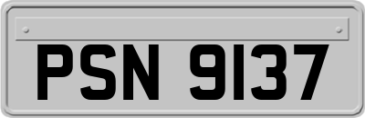 PSN9137