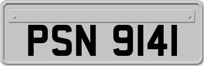 PSN9141
