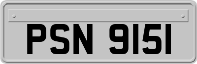 PSN9151