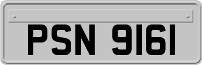 PSN9161
