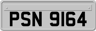PSN9164
