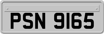 PSN9165