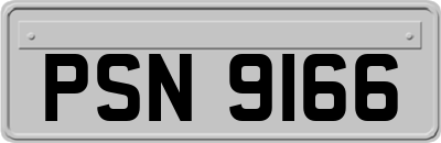 PSN9166