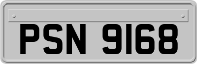 PSN9168