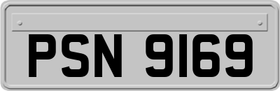 PSN9169