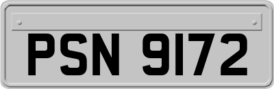 PSN9172