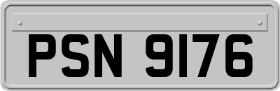PSN9176