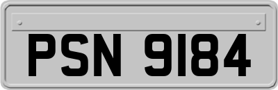 PSN9184