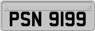 PSN9199