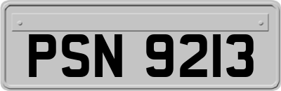 PSN9213