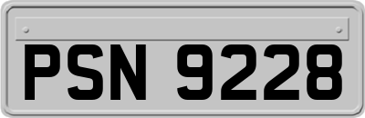 PSN9228