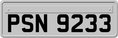 PSN9233