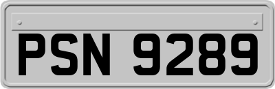 PSN9289