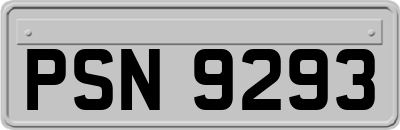 PSN9293