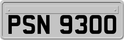 PSN9300