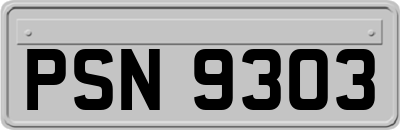 PSN9303
