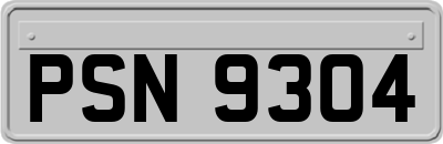 PSN9304