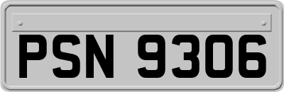 PSN9306