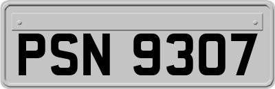 PSN9307
