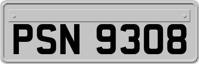PSN9308