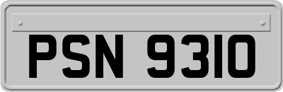 PSN9310