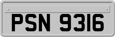 PSN9316