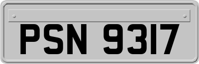 PSN9317