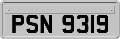 PSN9319