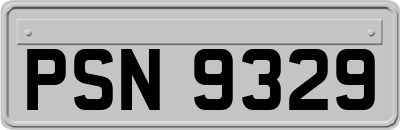 PSN9329