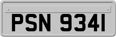 PSN9341