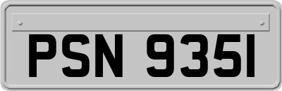 PSN9351