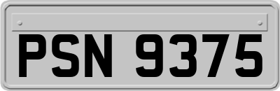 PSN9375