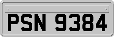 PSN9384