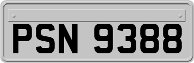 PSN9388