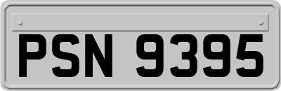 PSN9395