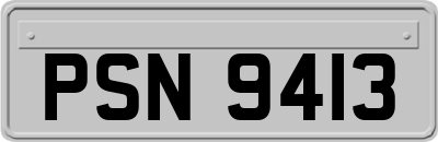 PSN9413