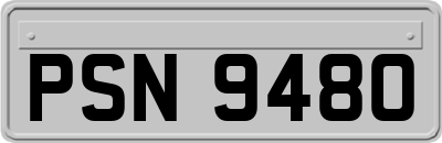 PSN9480
