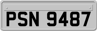 PSN9487