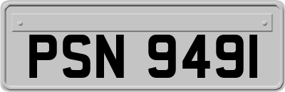 PSN9491