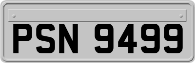 PSN9499