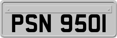 PSN9501