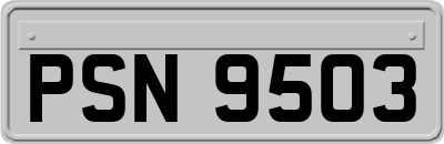 PSN9503