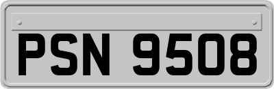 PSN9508