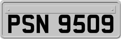 PSN9509