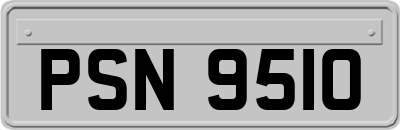 PSN9510