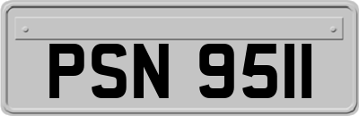 PSN9511
