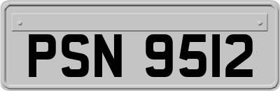 PSN9512