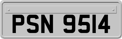 PSN9514